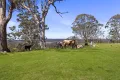 Property photo of 873 Jenolan Caves Road Good Forest NSW 2790