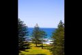 Property photo of 10 Beach Road Palm Beach NSW 2108