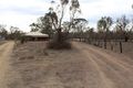 Property photo of 118 Winterwood Road Tingha NSW 2369