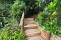 Property photo of 38 Ocean Street South West Rocks NSW 2431