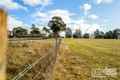 Property photo of 6/258 Jones Street Westbury TAS 7303