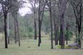 Property photo of 182 Franklin Road Wattle Camp QLD 4615