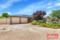 Property photo of 11 Chignell Circuit Reid SA 5118