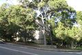 Property photo of 83-87 Carrington Road Randwick NSW 2031