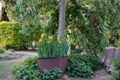 Property photo of 99 McMasters Road Wahring VIC 3608