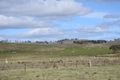 Property photo of 5 Evans Street Bibbenluke NSW 2632
