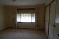 Property photo of 1/50 Acacia Crescent Wodonga VIC 3690