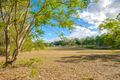 Property photo of 99 Green Trees Road Pie Creek QLD 4570
