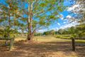 Property photo of 99 Green Trees Road Pie Creek QLD 4570