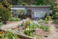 Property photo of 57 McNicol Road Tecoma VIC 3160
