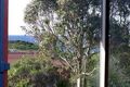 Property photo of 8 George Street Bermagui NSW 2546