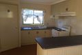 Property photo of 605 Mount Mitchell Road Oban NSW 2365