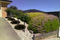 Property photo of 17 Leggio Road Myrtleford VIC 3737