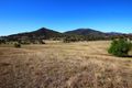 Property photo of 551 Sandy Creek Road McCullys Gap NSW 2333