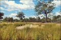 Property photo of 153 Cypress Road Kumbarilla QLD 4405