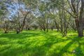 Property photo of 202 Masters Road Darling Downs WA 6122