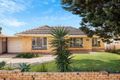 Property photo of 20 Kennington Road Hope Valley SA 5090