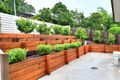 Property photo of 50 Skylark Street Coolum Beach QLD 4573