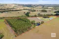 Property photo of 1286 Brookman Road Dingabledinga SA 5172