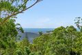 Property photo of 95 Contour Road Tamborine Mountain QLD 4272