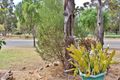 Property photo of 111 Standen Street Murray Bridge SA 5253