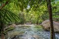 Property photo of 31 Stonewood Road Diwan QLD 4873