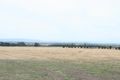 Property photo of 161 Murray Road Gisborne VIC 3437