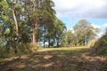Property photo of 173-181 Kureelpa Falls Road Kureelpa QLD 4560