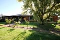 Property photo of 293 Coorong Avenue Red Cliffs VIC 3496