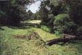 Property photo of 122 Ruggs Road Nethercote NSW 2549