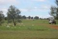 Property photo of 1205 Coominya Connection Road Mount Tarampa QLD 4311