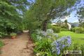 Property photo of 128 Invergowrie Road Invergowrie NSW 2350