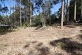 Property photo of 17 Maculata Circuit Dalmeny NSW 2546