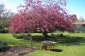 Property photo of 6858 Great Alpine Road Porepunkah VIC 3740