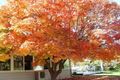 Property photo of 6858 Great Alpine Road Porepunkah VIC 3740