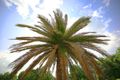 Property photo of 21 Davies Place Picton NSW 2571