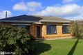Property photo of 39 Boyle Street Marion SA 5043