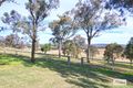 Property photo of 251 Lyndhurst Lane Rosenthal Heights QLD 4370