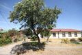 Property photo of 53-55 Hawker Avenue Plympton Park SA 5038