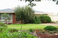 Property photo of 63 Warringa Street Salisbury Plain SA 5109