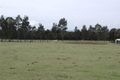 Property photo of 310 Steveys Forest Road Oakdale NSW 2570
