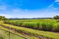 Property photo of 159 Murwillumbah Street Murwillumbah NSW 2484