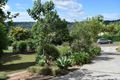 Property photo of 118-120 Licuala Drive Tamborine Mountain QLD 4272