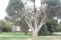 Property photo of 17 Mountview Avenue Hallam VIC 3803