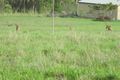 Property photo of 10 Lindgren Close Tolga QLD 4882