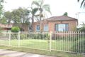 Property photo of 217 River Avenue Carramar NSW 2163
