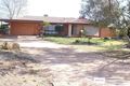Property photo of 1115 Cowra Avenue Irymple VIC 3498