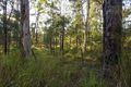 Property photo of 15 Luthers Road Halfway Creek NSW 2460