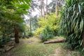 Property photo of 8 Anderson Road Tecoma VIC 3160