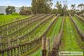 Property photo of 1/17 Field Street McLaren Vale SA 5171